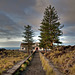 São Miguel Island / Azores