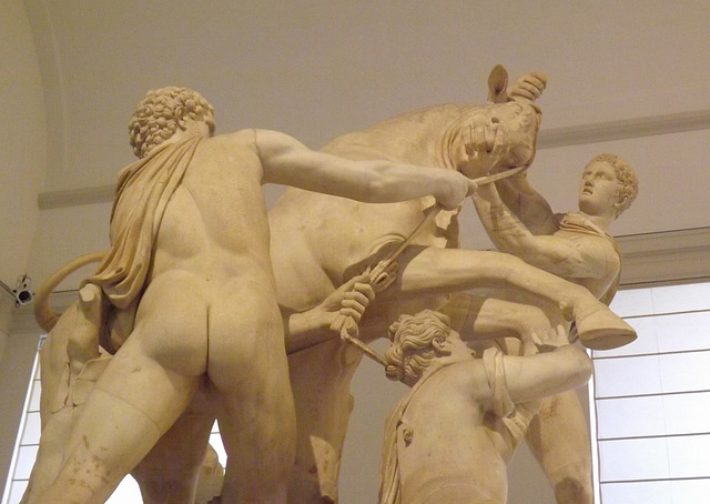 Detail of the Farnese Bull in the Naples Archaeological Museum, July 2012