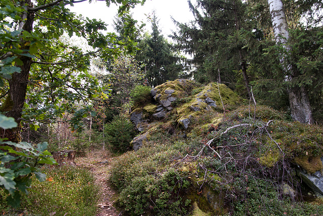 Gipfelfelsen Weißenstein