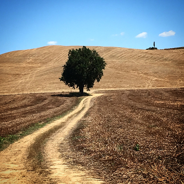 Crete Senesi