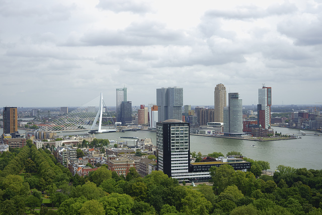 Rotterdam from Eurotower