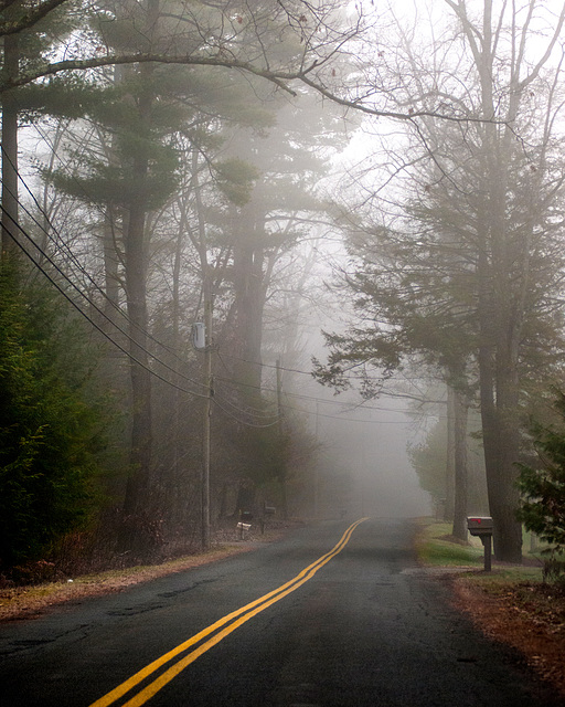 Fog on a country road.