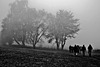Wanderer im Herbstnebel - Hikers in autumn fog