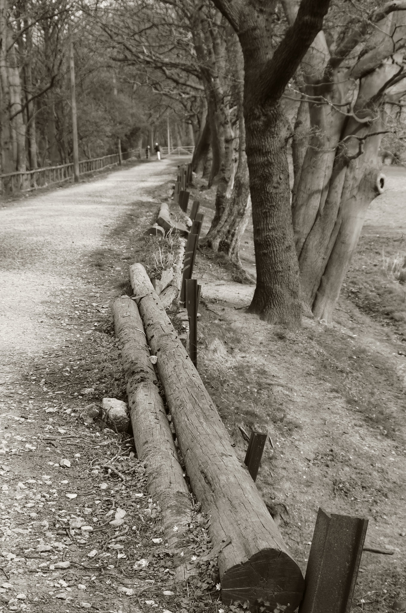 The Prince’s Incline