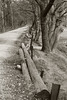The Prince’s Incline