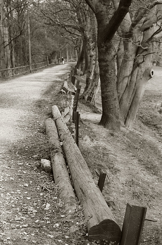 The Prince’s Incline