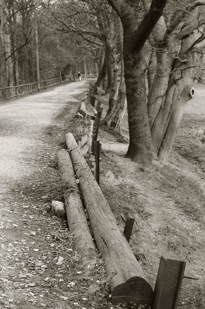 The Prince’s Incline