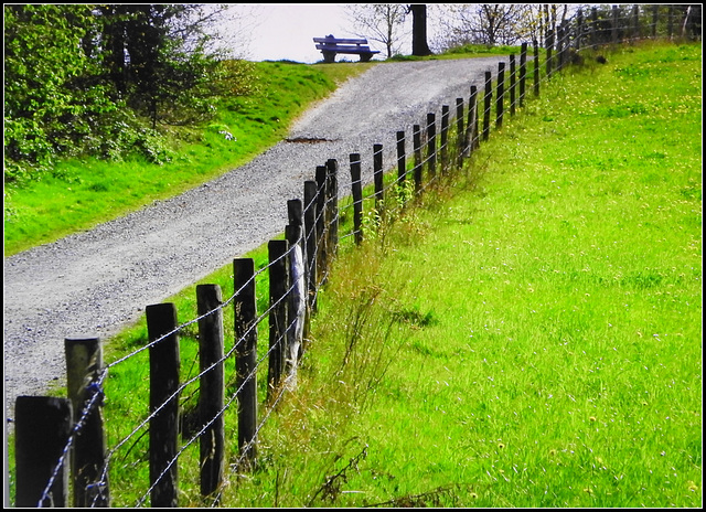 HFF for everyone-6-11-2020(Benche-Fence day)