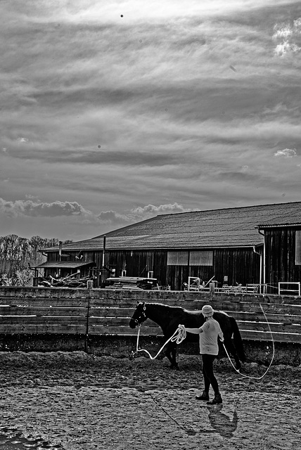 20240331_cooper ranch südharz (d800)