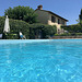 In the pool.
