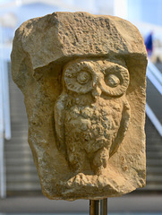 Athens 2020 – Acropolis Museum – Owl