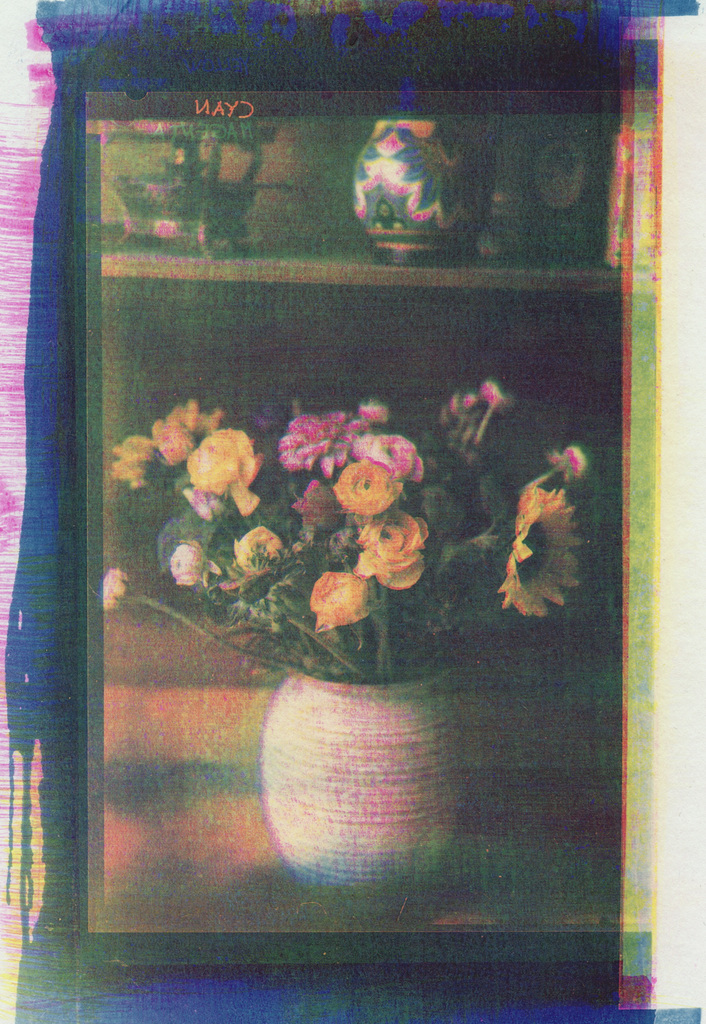 Trichromatic gum over cyanotype