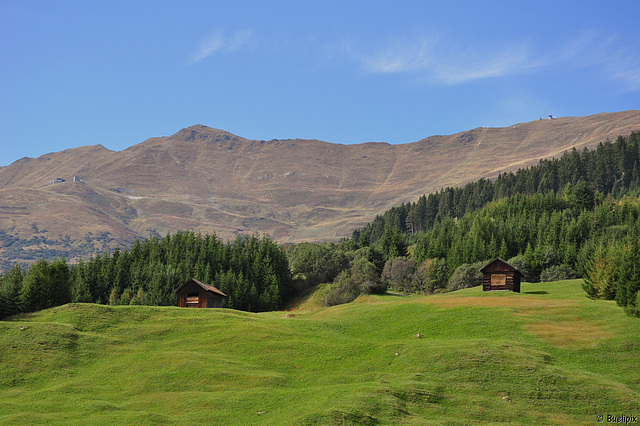 oberhalb Ladis - Fiss (© Buelipix)