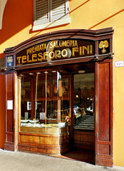 Modena - Telesforo Fini