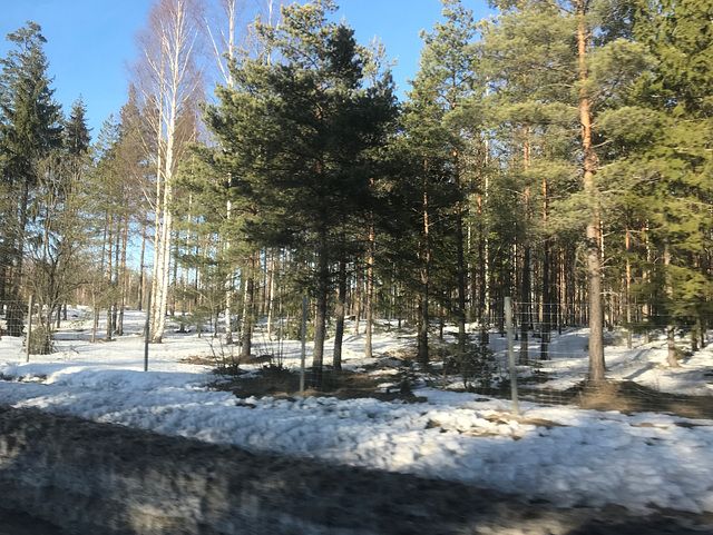 moose fence by the highway