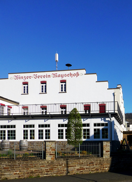 DE - Mayschoß - Winzergenossenschaft