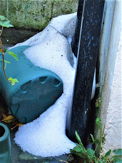 Piling up against the watering can