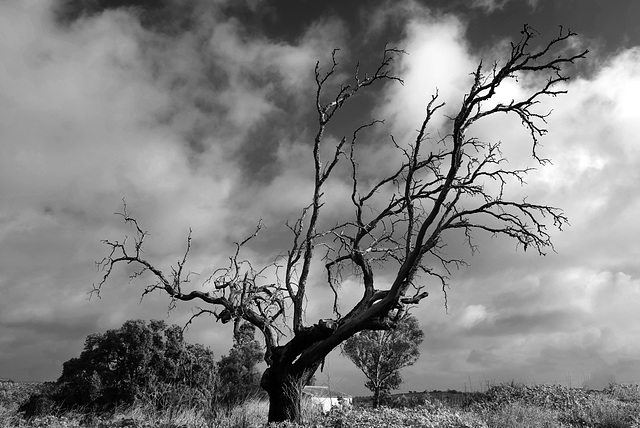 Penedos, Azinheira, End of life