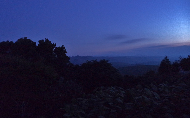 view from the deck at sunset