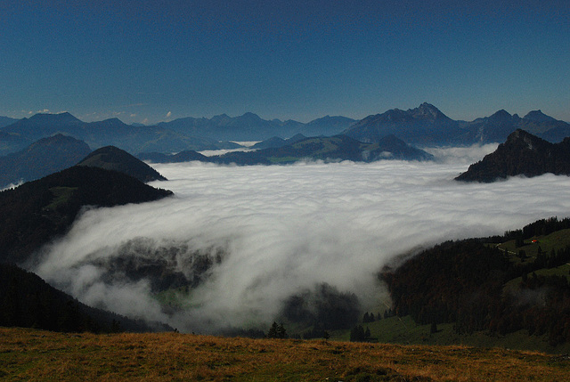 Wenn die Nebel ins Trockenbachtal fließen....