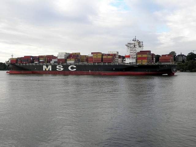 MSC Carouge