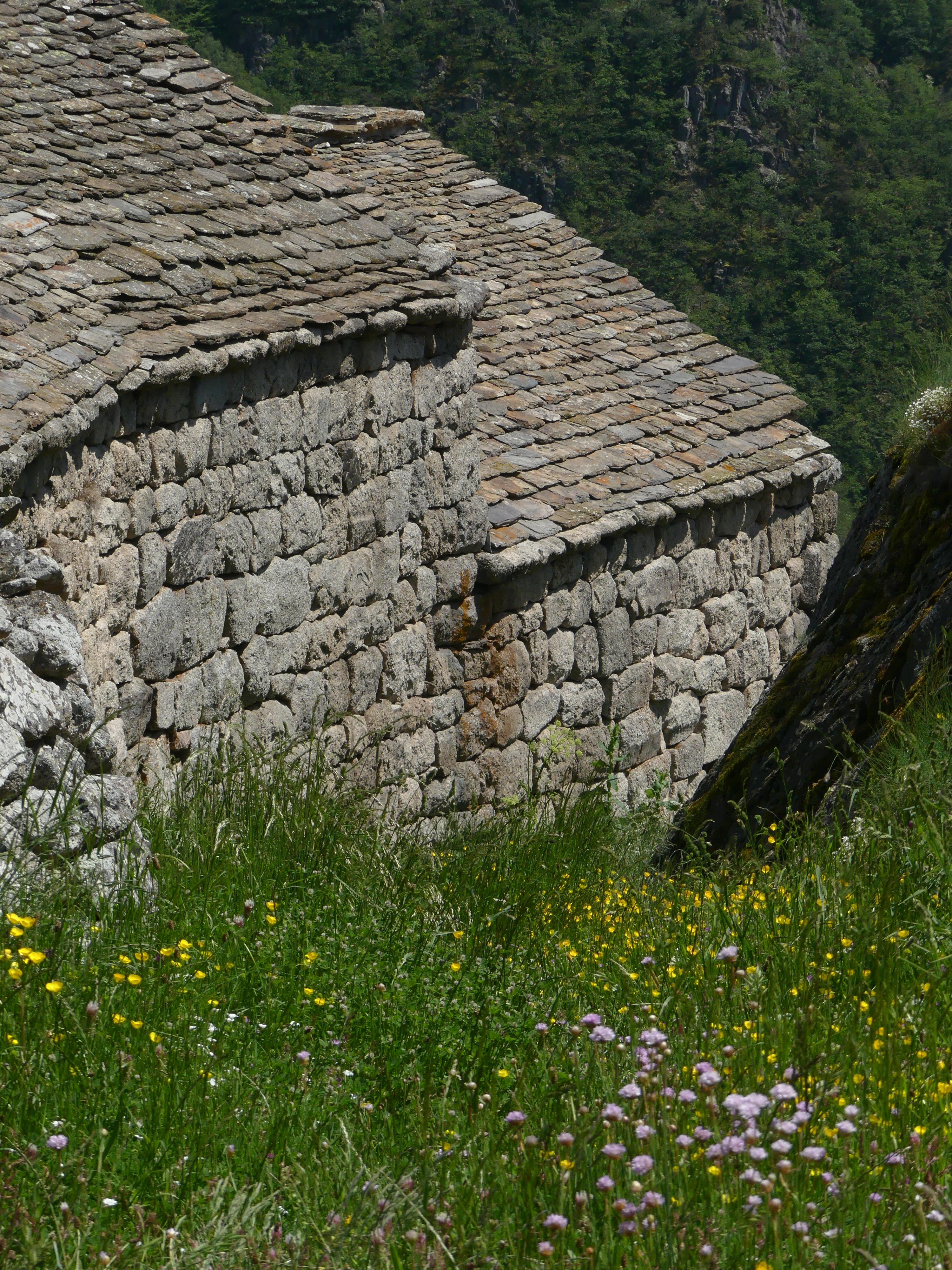 20230606 -08 Lozère tritons (166)