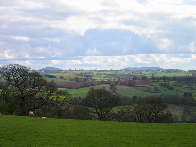 View to the Clee Hills from the high ground near Sundayshill Cottage