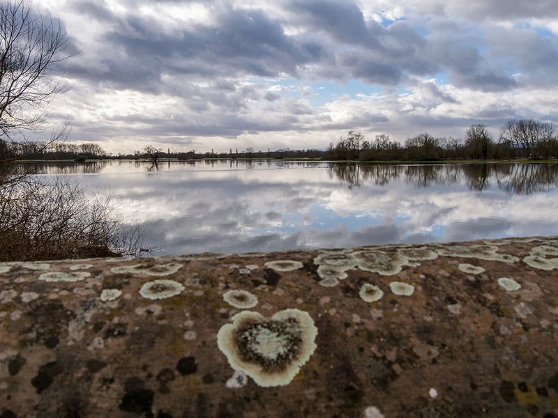 inondations au coeur de l'Alsace : Muttersholtz