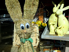 The family hare has the measles...