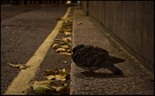 Bum on the kerb