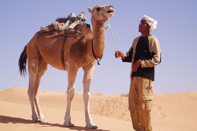 Du côté de Tozeur (Tunisie)