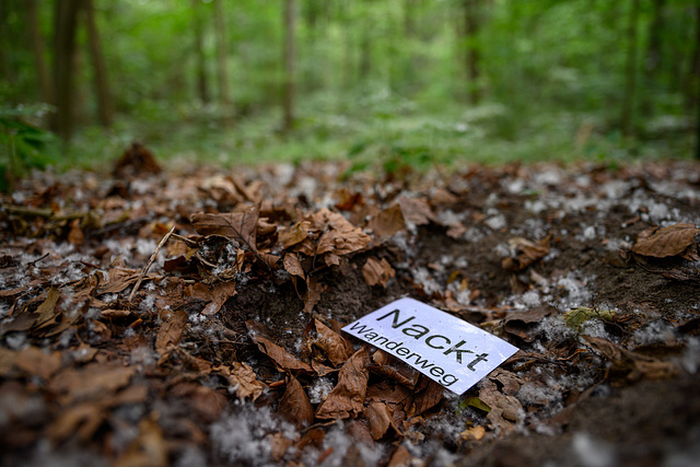 WTF? Nude hiking trail? (15.07.2019)