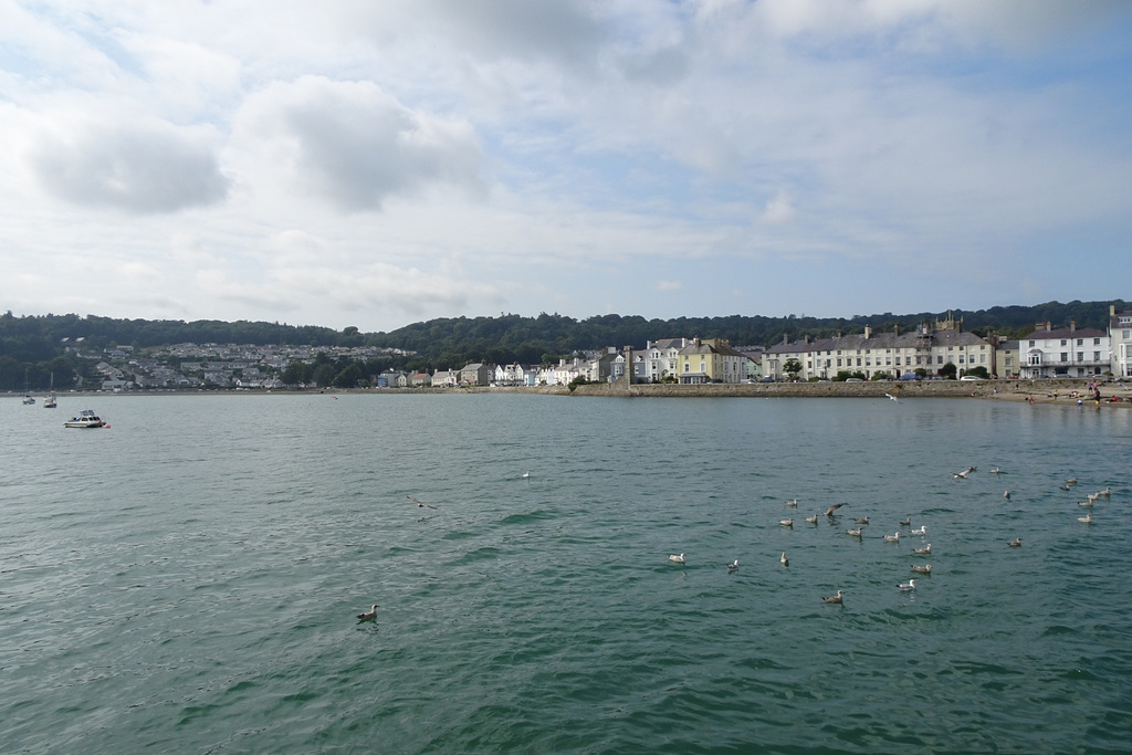 Beaumaris Waterfront