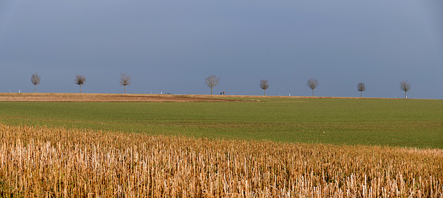 Wo bleibt der Winter?