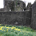 Neath Castle