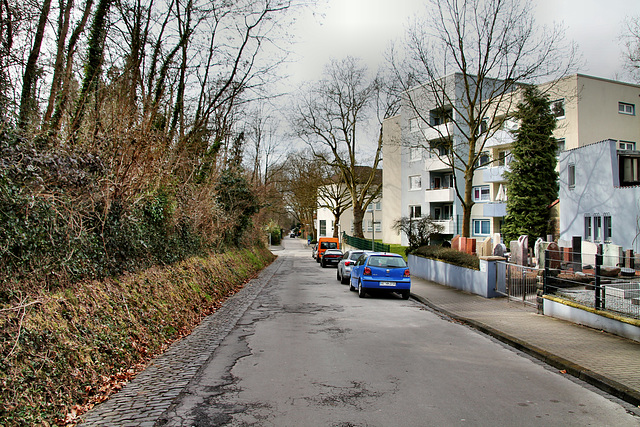 Dammstraße (Gelsenkirchen-Hessler) / 11.03.2018