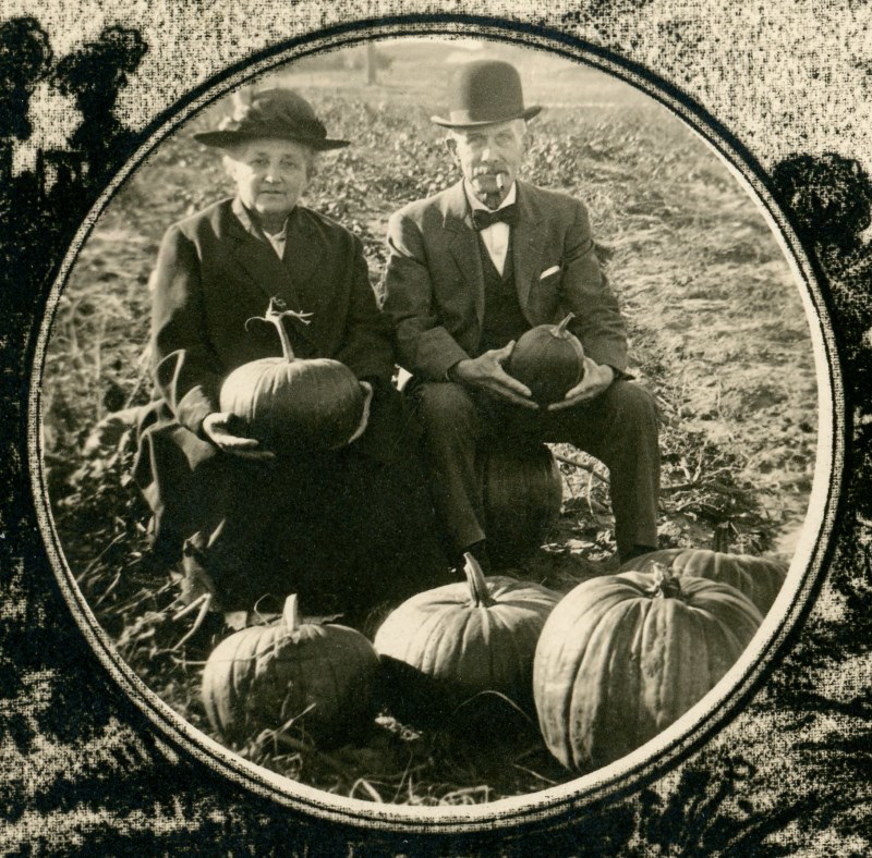 People Picking Pumpkins (Cropped)