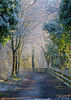 A Wintery Wonderland fence