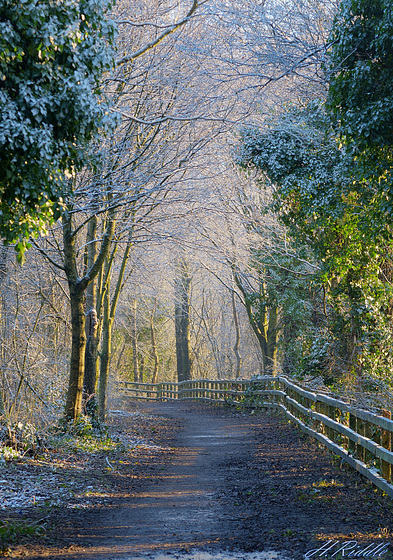 A Wintery Wonderland fence