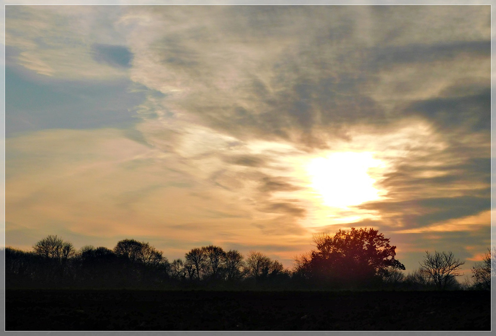 Retour de promenade , le soleil va bientôt se coucher..............