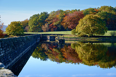 Cat Wood over the Reservoir