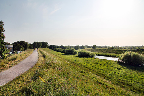 Lippeaue bei Dorsten / 27.05.2023