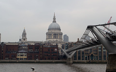 London Millennium Bridge (#0289)