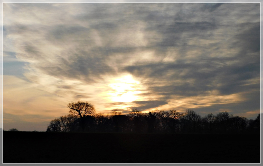 Retour de promenade , le soleil va bientôt se coucher..............