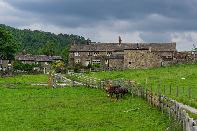 Hill Houses