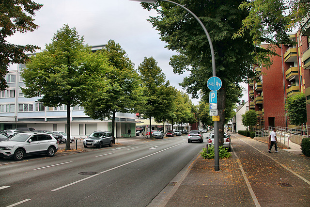 Lipper Weg (Marl-Hüls) / 27.08.2022