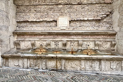 Assisi 2024 – Fonte Oliviera