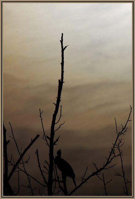 Lumière du matin en Novembre