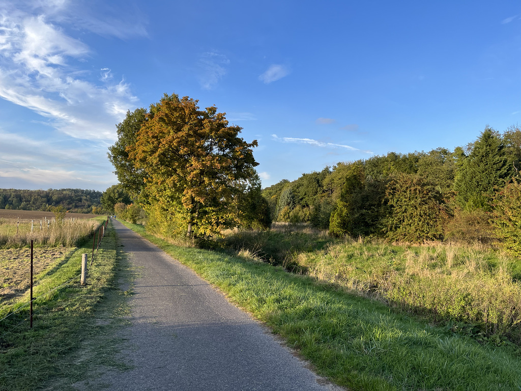 DE - Weilerswist - Herbstimpression