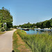 Weg am Wesel-Datteln-Kanal (Dorsten) / 27.05.2023